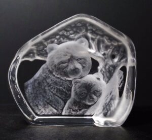 Bear 2 Laser