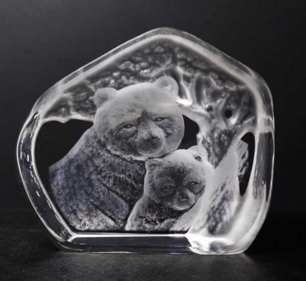 Bear 2 Laser