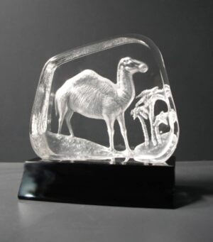 Camel