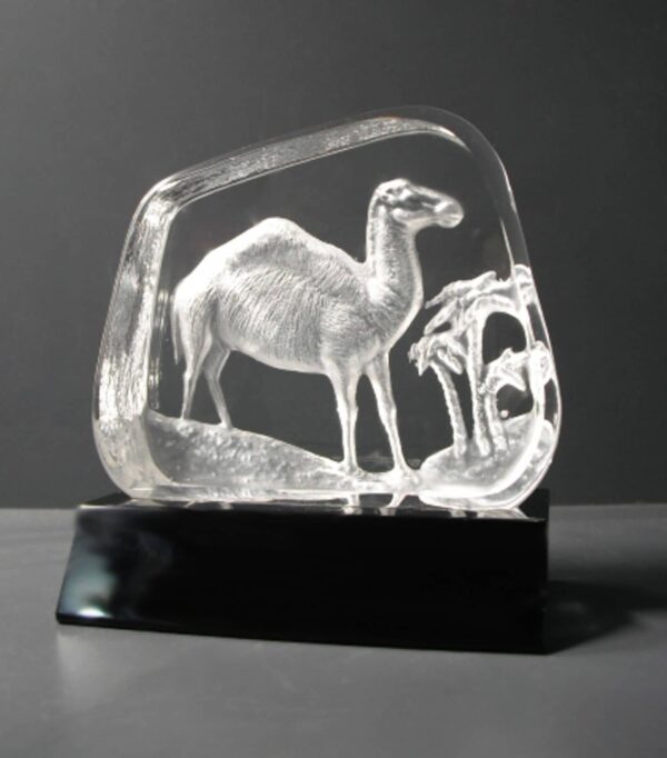 Camel