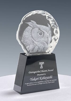 Owl Japan