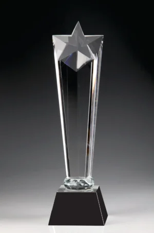 Star Award New