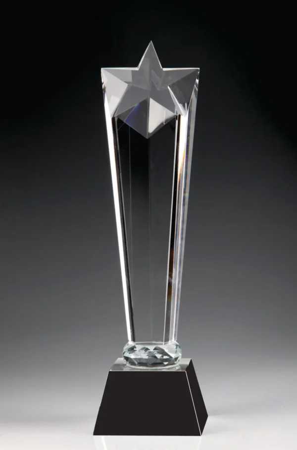Star Award New