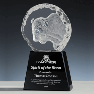 Bison Award 2024