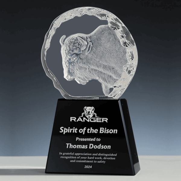 Bison Award 2024