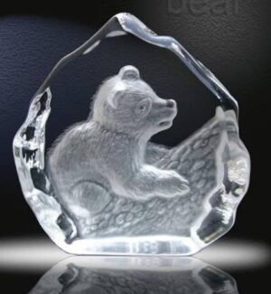 Bear Cub