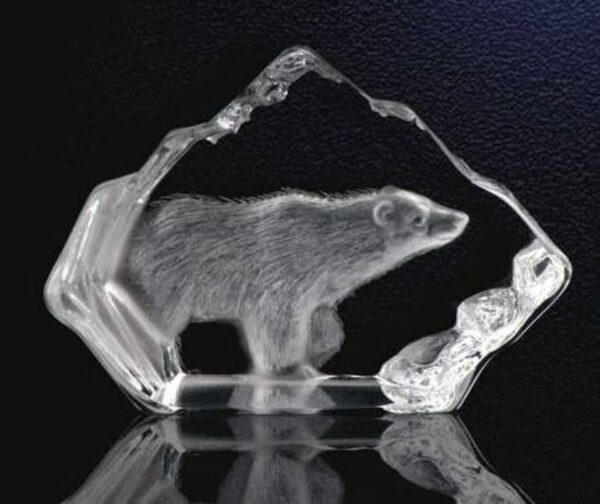 Polar Bear